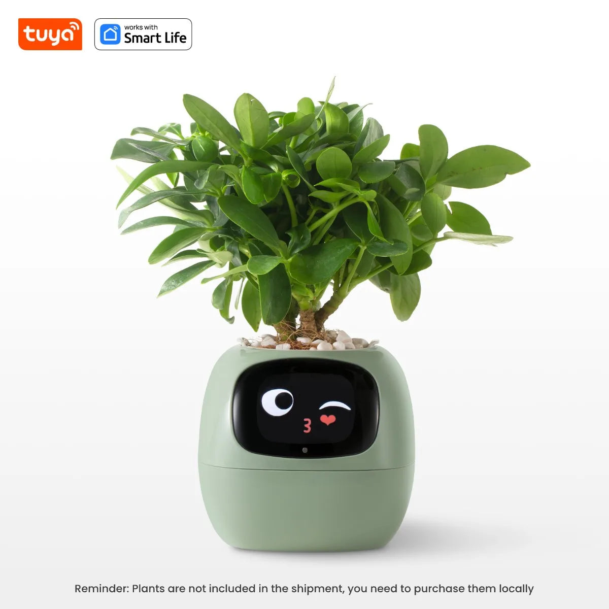Vaso de Plantas Inteligente Tuya Ivy