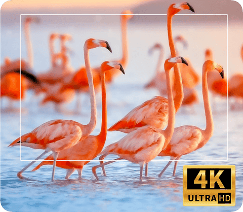 Projetor Portátil VisionMax 4k - Prático