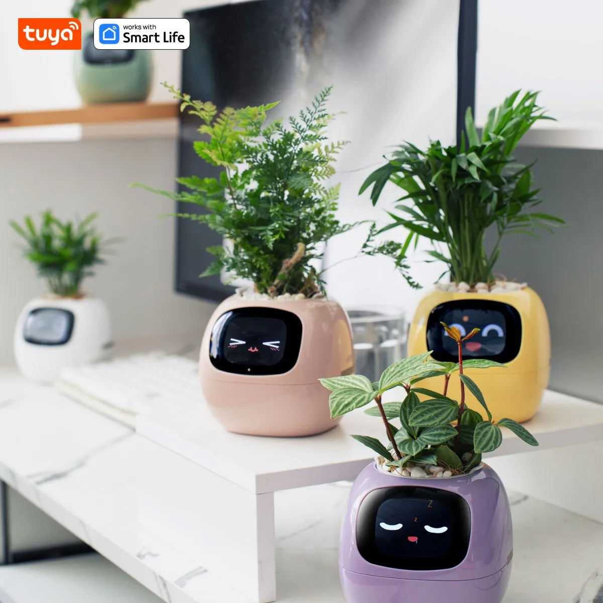 Vaso de Plantas Inteligente Tuya Ivy