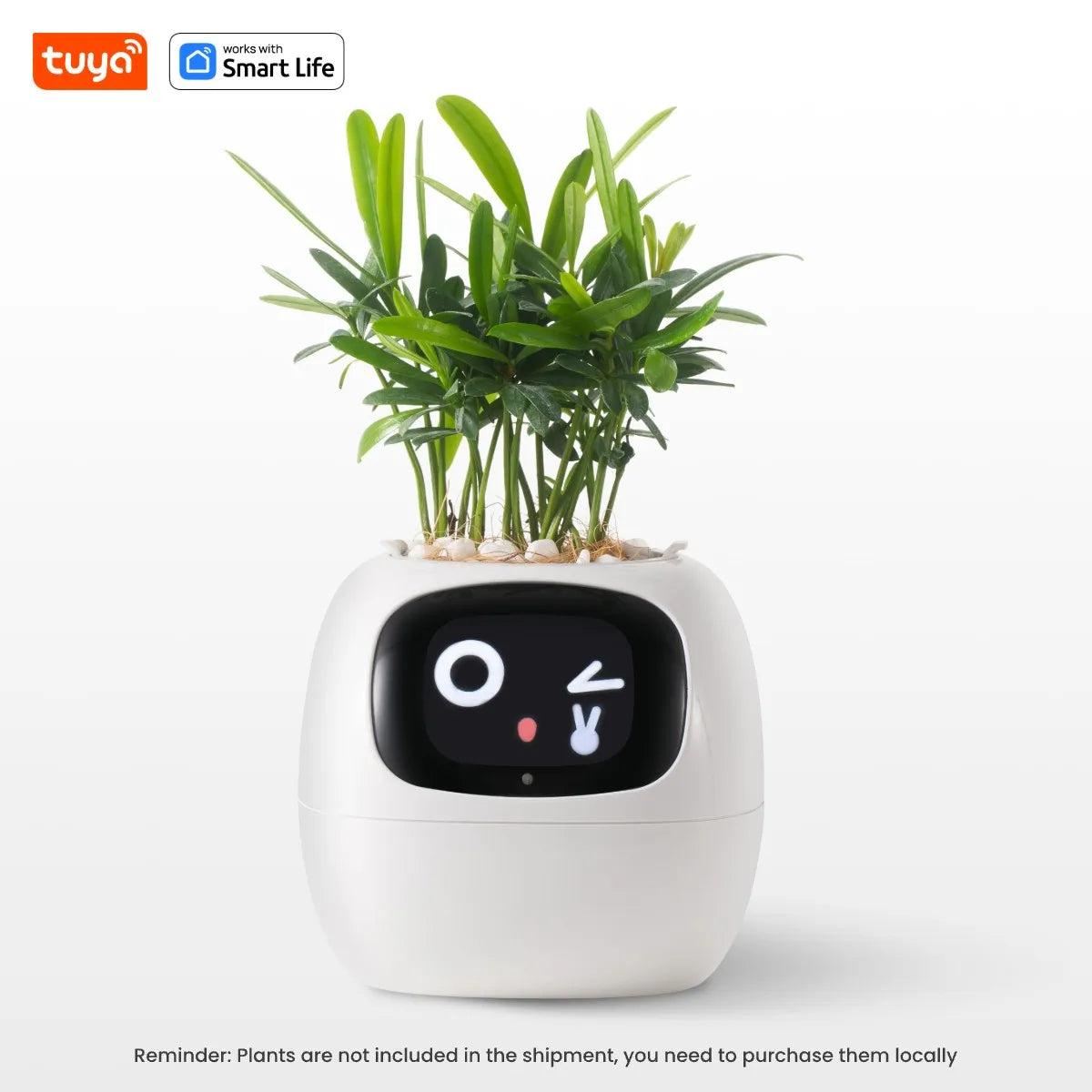 Vaso de Plantas Inteligente Tuya Ivy