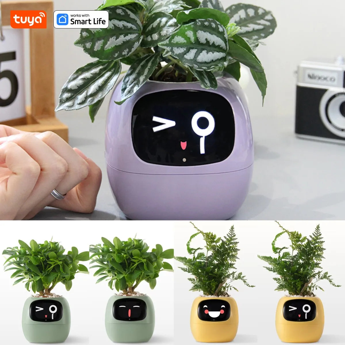 Vaso de Plantas Inteligente Tuya Ivy