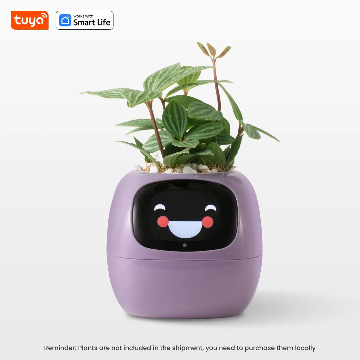 Vaso de Plantas Inteligente Tuya Ivy